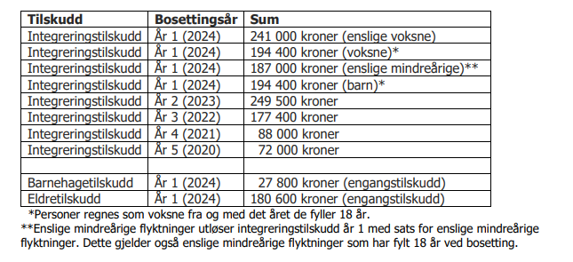 Tilskudd 2024.png